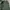 GERMAN M65 FLECKTARN JACKET photo 4