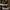 Nike Air Jordan Elemental Gold  photo 2