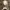 Vintage Luxury Fur coat Wanita tan photo 2