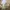 Vintage Luxury Fur coat Wanita tan photo 3
