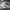 Streetwear Casual Hat Wanita white gray photo 4