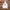 Nike NSW Streetwear Hoody Pria white photo 1