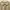 Vintage Y2K Midi dress Wanita khaki photo 2