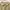 Vintage Y2K Midi Dress Wanita Khaki