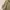 Vintage Y2K Midi dress Wanita khaki photo 3