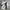 Sepatu Loewe Ballet Flow Runner Sneakers  uk 38 photo 9