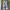 Vintage US ARMY Baggy pants camo 4 warna photo 4