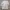 Extu Heritage Set Silk Dior Motif Floral Pastel photo 6