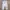 Extu Heritage Set Silk Dior Motif Floral Pastel photo 4