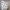 Extu Heritage Set Silk Dior Motif Floral Pastel photo 3