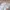 Extu Heritage Set Silk Dior Motif Floral Pastel photo 7