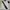 Polo Ralph Lauren Luxury Casual Polo shirt Pria multicolor white photo 1