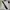 Polo Ralph Lauren Luxury Casual Polo Shirt Pria Multicolor White