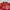 Red Floral Print Cheongsam Long Sleeve Shirt photo 10