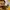Dickies Mustard Color Doubleknee  photo 6
