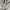 Sweatshirt Crewneck Basic t0pten blue gray 105  photo 4