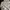 Sweatshirt Crewneck Basic crop cream topt3n 100 photo 1