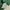 Nike Streetwear Casual Sweatshirt Pria green photo 4