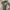 Sweatshirt Crewneck Basic white cal1f0rnia wh0 au boxy  photo 2