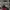 AIR JORDAN 1 RETRO HIGH OG DEFIANT COUTURE , AIR JORDAN 1 RE photo 3