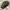 Vintage Hat Pria Brown Khaki