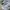 Nike Streetwear Sportswear Sneakers Pria white black photo 2