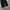 Petirire sunflower wide pants photo 5