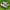 Adidas Casual Sneakers Pria gray photo 1