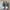 Asics Streetwear Sportswear Sneakers Pria gray cream photo 3