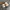 NewBalance CT302 Beige photo 5