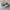 Salomon Gorpcore Sneakers Pria white tan photo 1