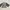 Streetwear Casual Cardigan Wanita multicolor gray photo 1