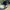 Snapback Mountain Dew Graphic,Beach-Skate-Surf AOP  photo 6