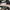 Snapback Mountain Dew Graphic,Beach-Skate-Surf AOP  photo 8