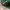 Snapback Mountain Dew Graphic,Beach-Skate-Surf AOP  photo 5