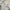 ZARA Minimalist Casual Shirt Wanita white photo 2