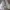 Sepatu Aerostreet  photo 3