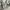 Nike Streetwear Casual Sweater Pria gray photo 7