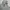 Nike Streetwear Casual Sweater Pria gray photo 2