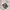 Dr Martens Adrian Tassel Leroy photo 1