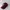 Topi Baseball Young Life Built Up Flexfit Yupoong photo 2