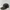 Topi Snapback Corduroy Bonjour Brand photo 3