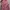 ZARA Luxury Casual Blouse Wanita multicolor photo 1