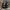 Converse Vintage Streetwear Sneakers Pria black photo 5