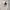Burberry Novacheck Work Jacket
 photo 7