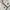 Burberry Novacheck Work Jacket
 photo 5
