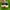 Adidas Casual Sneakers Pria white black photo 3