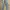 Levi’s 507 Bootcut Vintage Jeans  photo 1