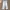 Earon Baggy photo 1