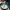 MLB Streetwear Sportswear Hat Pria green yellow photo 3